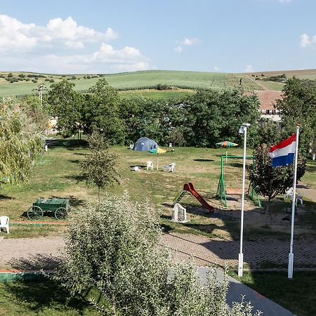 Pensiunea Poarta Oilor Girbova Экстерьер фото
